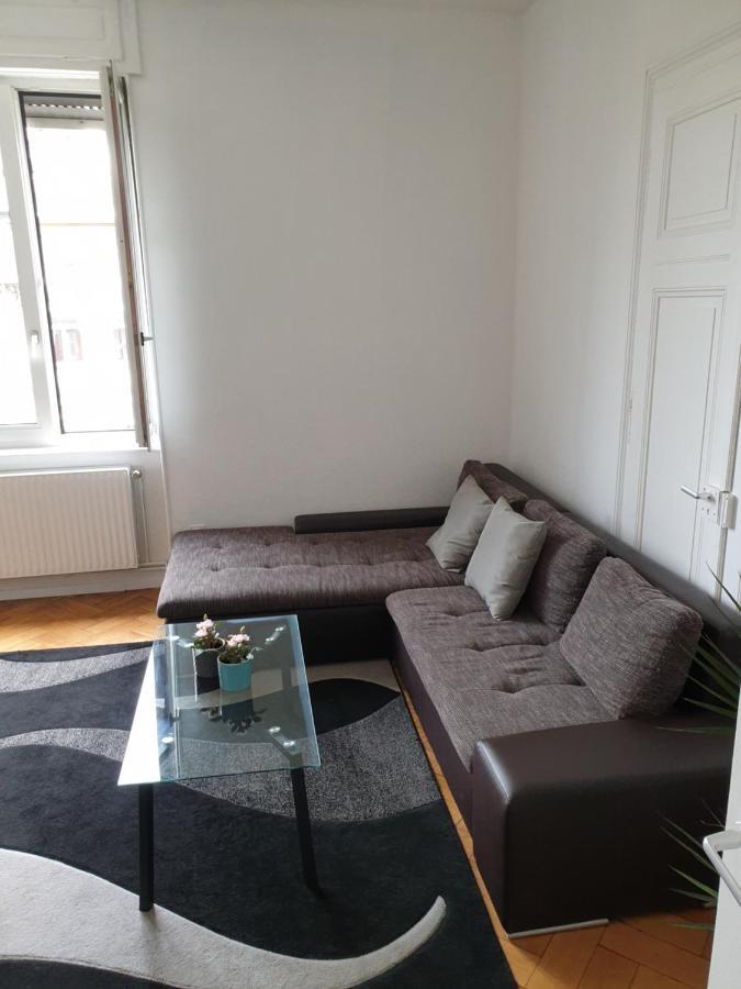 Апартаменты Strasbourg Centre Le 85, Superbe F5, 125M2, 5 Pieces Экстерьер фото